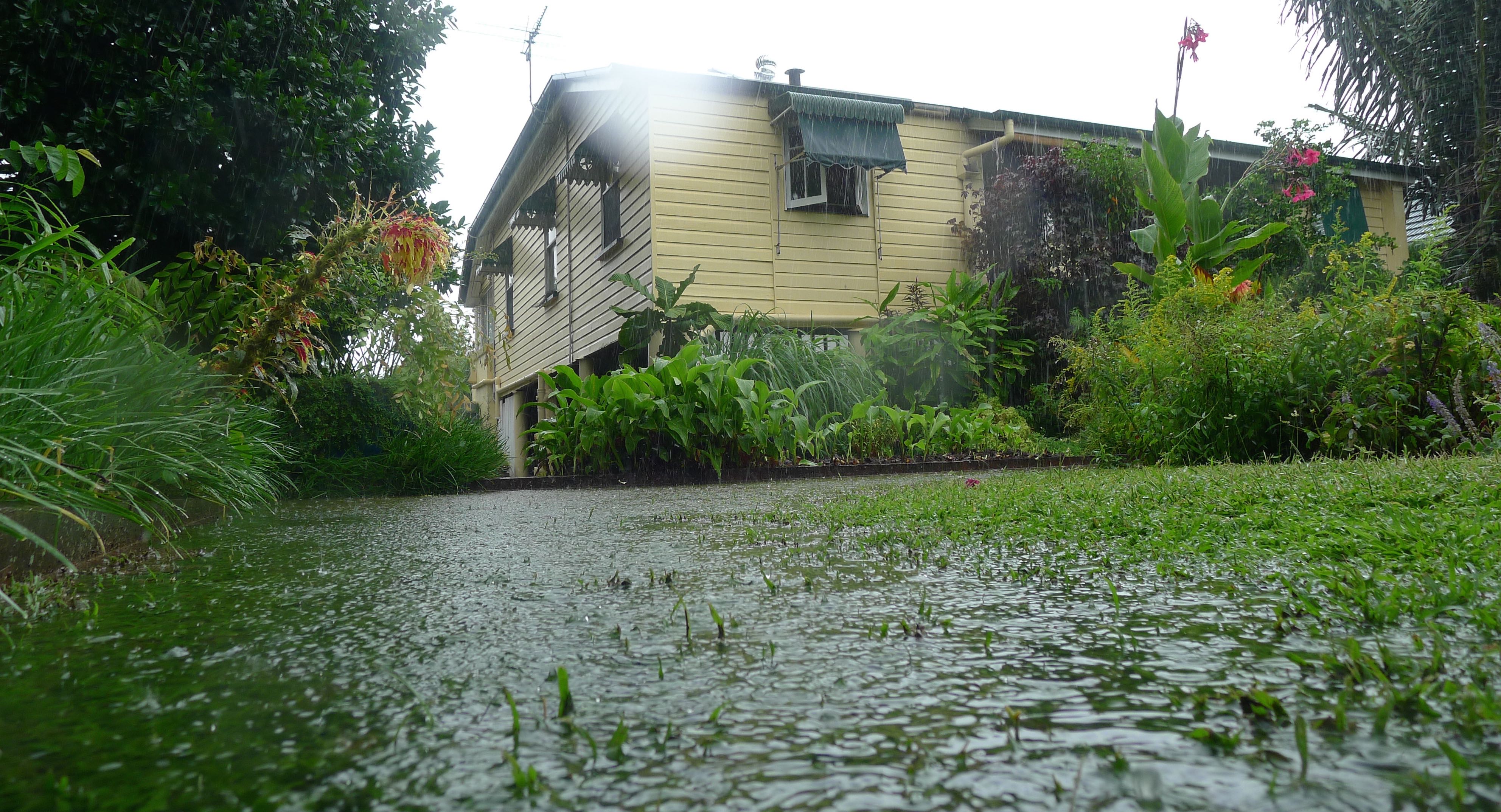 Flooding lawn