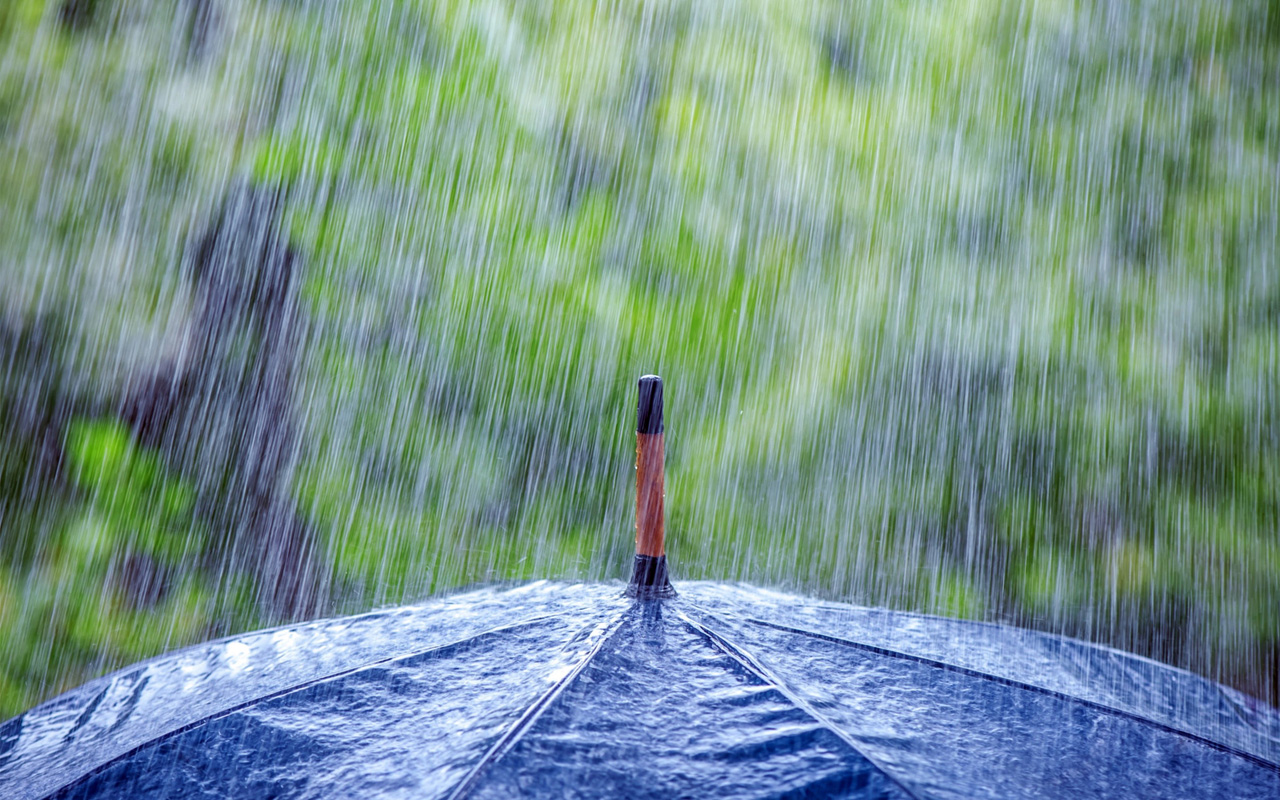 Rain hitting an umbrella
